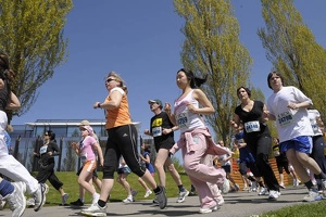 20km08 017
